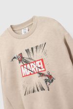 4f28d360-8172-4056-a302-d088932c47ed-plpo1377i26-3