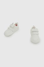 7148588b-e30a-4f67-9600-68edf291c570-77110210i26-4