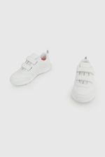 d3415799-8539-41cc-8a28-ac451feb84b9-77070210i26-4