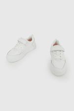 b605a0ff-2824-4064-99fa-32b5c325d524-77290210i26-4