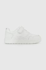 fe340cfd-fe98-44c2-9342-ba0b499fa58e-77290210i26-2