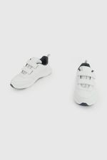 b741b5e5-4e74-459e-aced-f73b474f8031-77070250i26-4