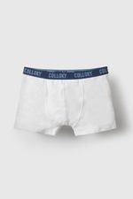 20fda42f-1eb9-4f87-a67a-7e493fd41334-bxsx5550i26-3