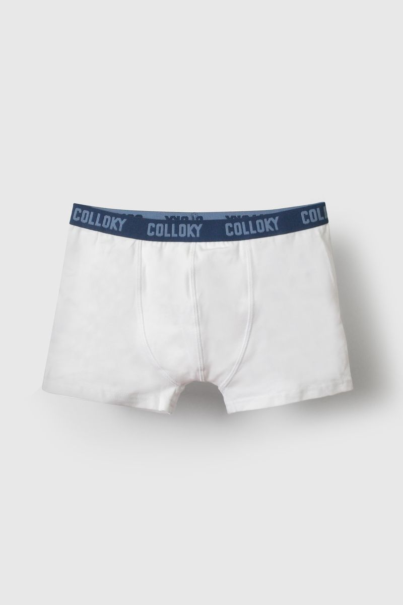 20fda42f-1eb9-4f87-a67a-7e493fd41334-bxsx5550i26-3