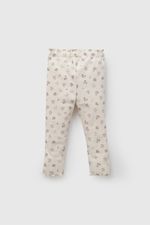 559587bb-3000-47db-b1cb-e881f62df41f-papu0275i26-2