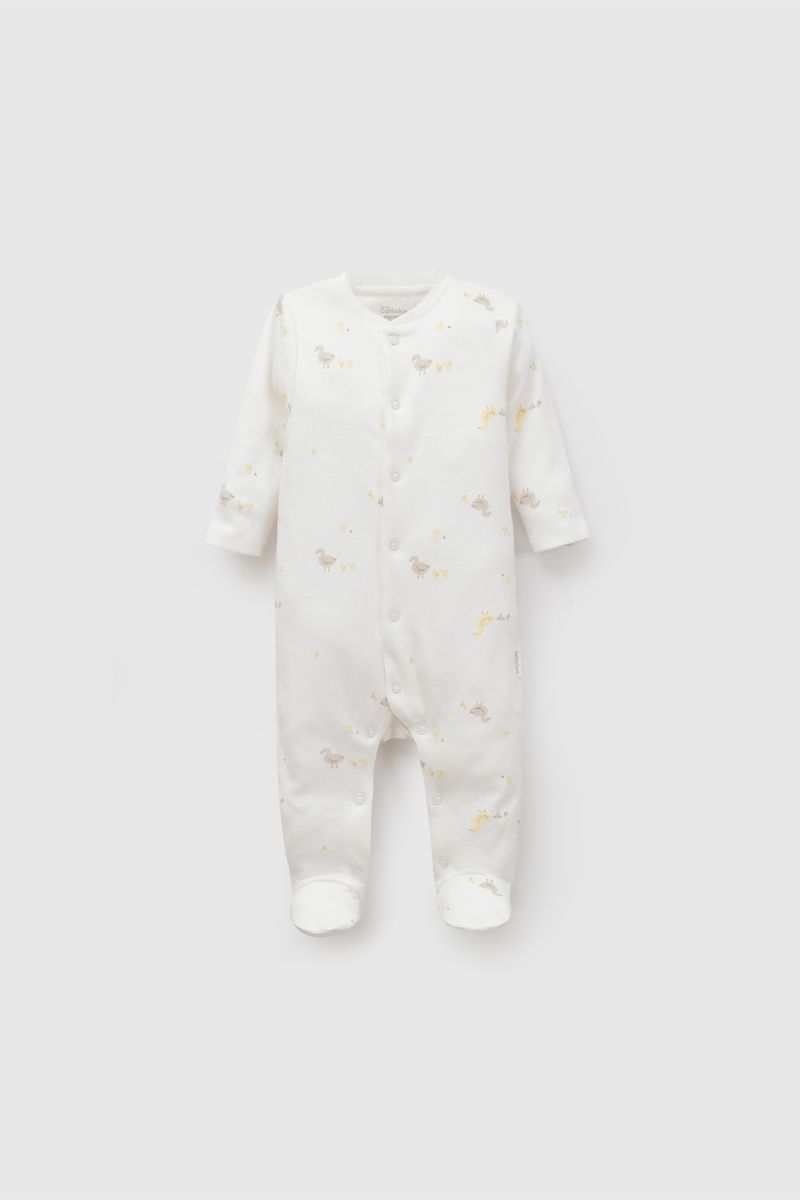 65dddd9f-6d60-47be-9b98-aaed0f02282d-olga0109i26-1