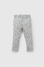 77741529-087a-4535-97b4-5d4391d36def-papo0259i26-1