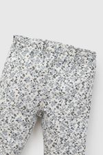 accc896f-0f3b-47cb-b871-cb6b03eece03-papo0259i26-3