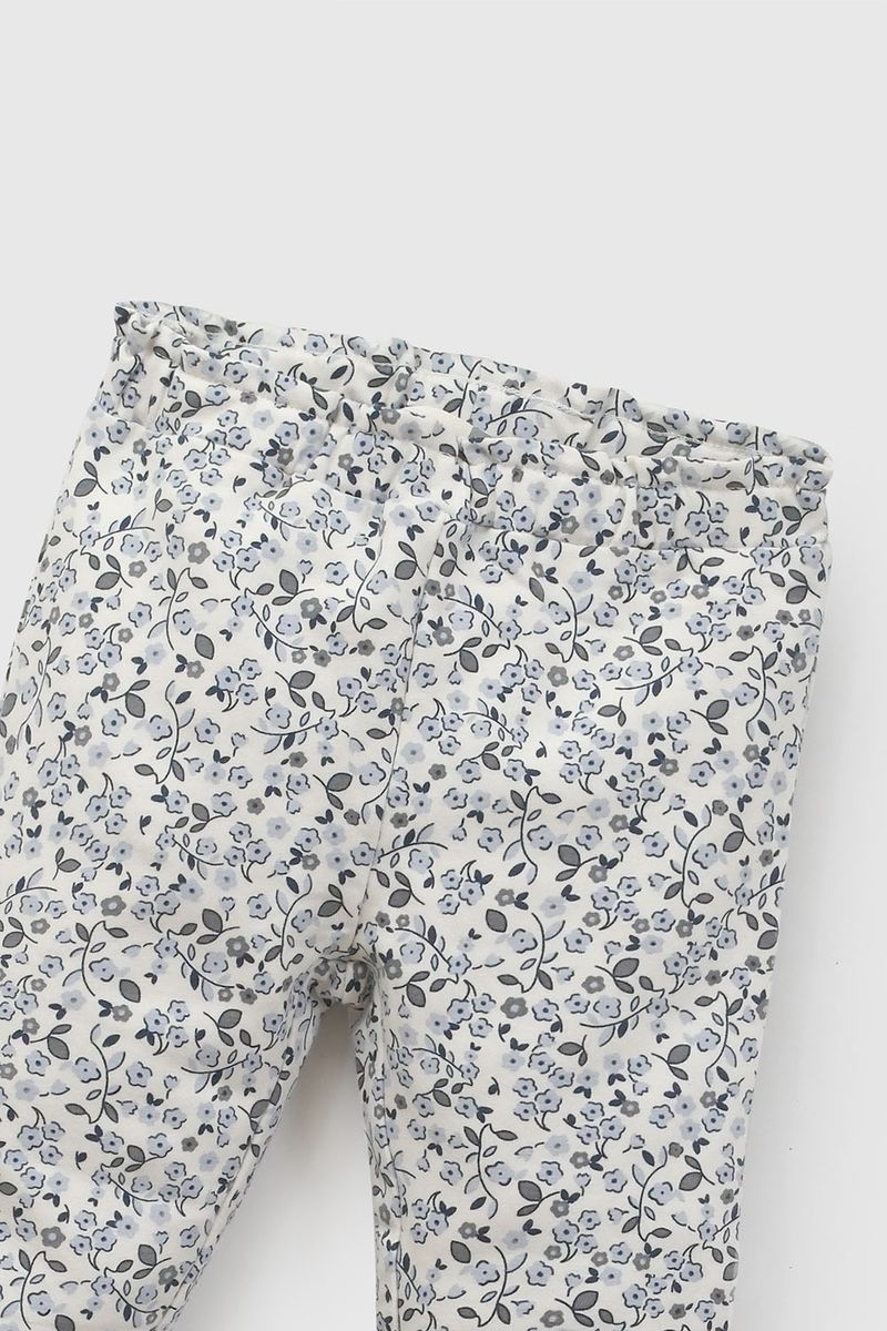 accc896f-0f3b-47cb-b871-cb6b03eece03-papo0259i26-3