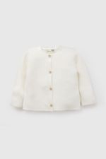 7daa3233-6cf6-4b6b-a98e-56562e224bf4-chlau109i26-1