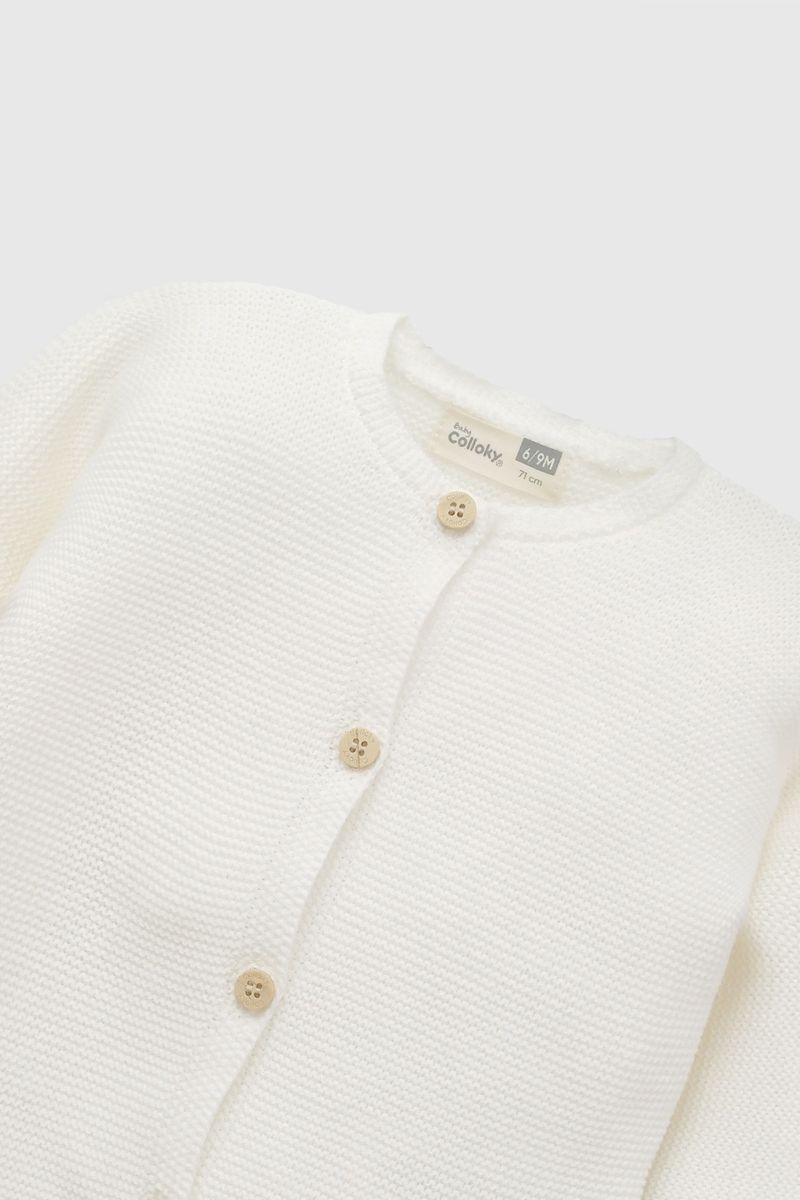 8b4dbf05-1c34-47f5-995f-4b29f89da8fb-chlau109i26-3