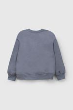 92ca2dd3-0acf-4e81-8941-ac20123746f1-plpo2859i26-2