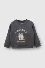 828efcbd-e344-441e-b70e-1f67077a1095-plpo4302i26-1