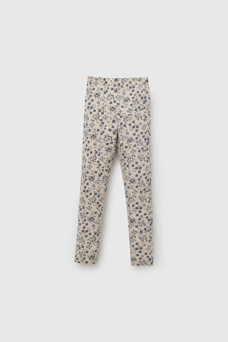 00f3d1c3-a6fe-428a-882b-1cc0c26364b3-papu0850i26-2