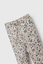 0443dda5-80ae-4eeb-bb48-05f80b05d3e0-papu0850i26-3