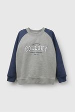 de55f6a5-55a2-4408-96f7-7e35b4bbb31e-plpo0358i26-1