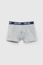 p-bxsx0958i26-2-865e78a9-404f-467f-b325-08f3615239d5