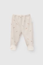 p-oepu0175i26-3-bd0a94d8-845a-4193-8048-3cb951089c50