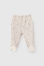 p-oepu0175i26-4-9abd5204-4da9-41cc-a611-3fbd707a2ad8