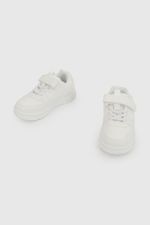 47230210i26-5-b4d1fe9e-21d9-4135-9fa0-4082f1719871