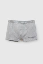 p-bxsx1506i26-2-00a72e4d-ee30-4762-a620-1f7dc0649d8f