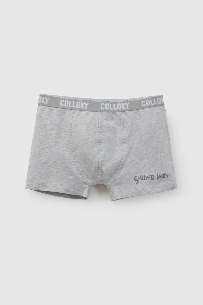 p-bxsx1506i26-2-00a72e4d-ee30-4762-a620-1f7dc0649d8f