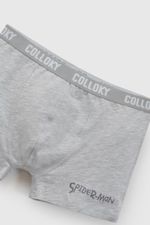 p-bxsx1506i26-5-1f359d5a-e824-4109-868d-51b046b5284c