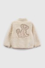 12fbfe8a-1d70-4427-821d-c856afb77d69-prsh1676i26-2